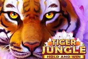 tiger-jungle